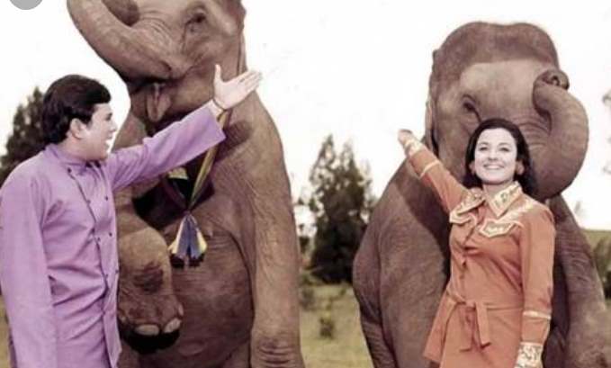 Haathi Mere Saathi Best films for animal lovers