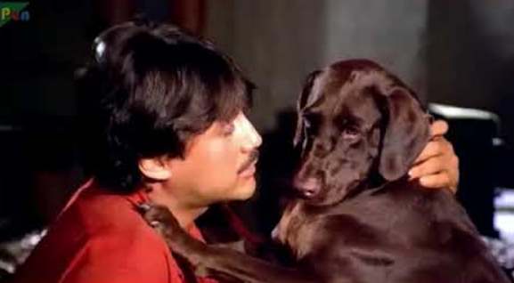 Teri Meherbaniyan best films for dog lovers