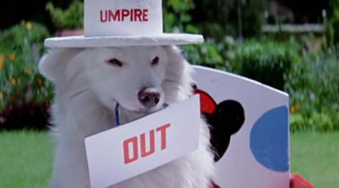 Tuffy Dog in Hum Aapke Hain Kaun, best film for dog lovers