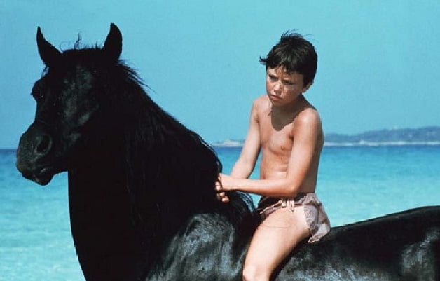 The Black Stallion movies on animal lovers