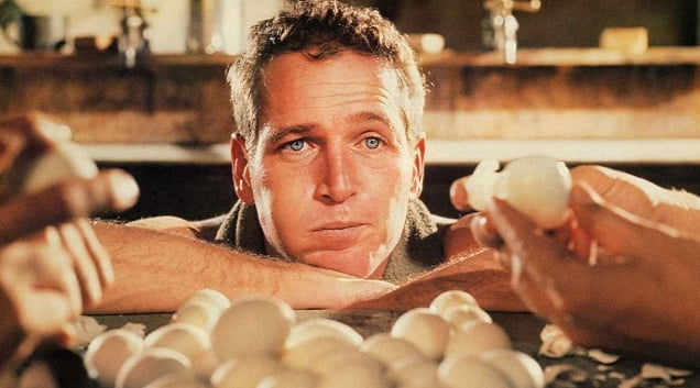 prison life films cool hand luke