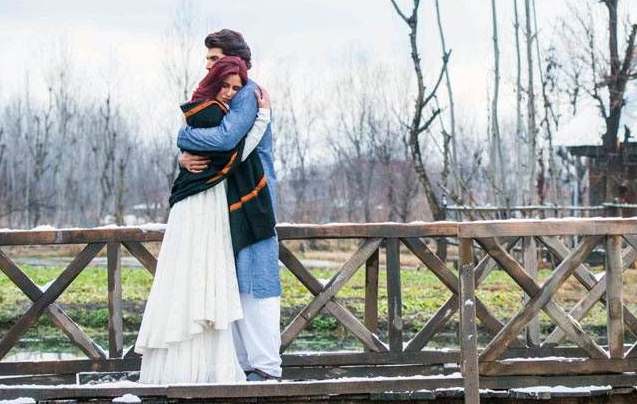 Fitoor 2016 film about Kashmiri Boy