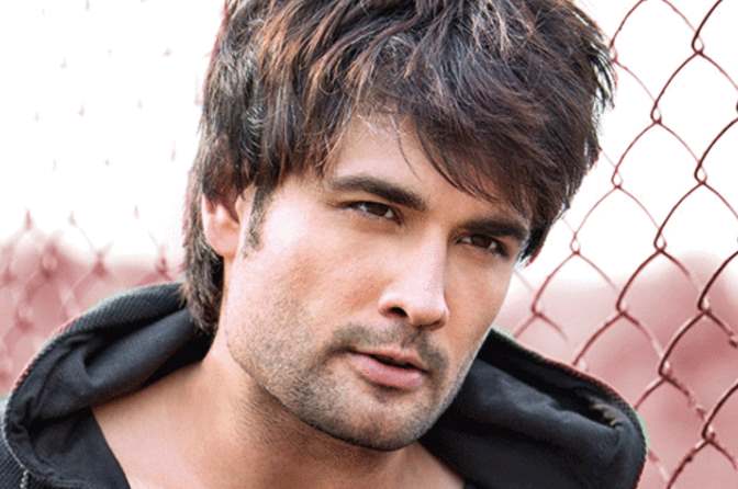 Vivian Dsena bigg boss 2019