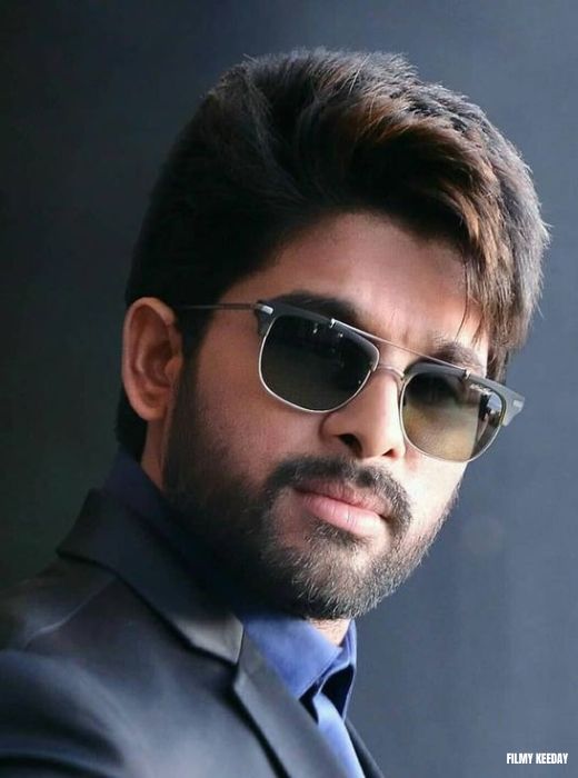 Allu Arjun Hairstyle in DJ Devuda Jagganadan