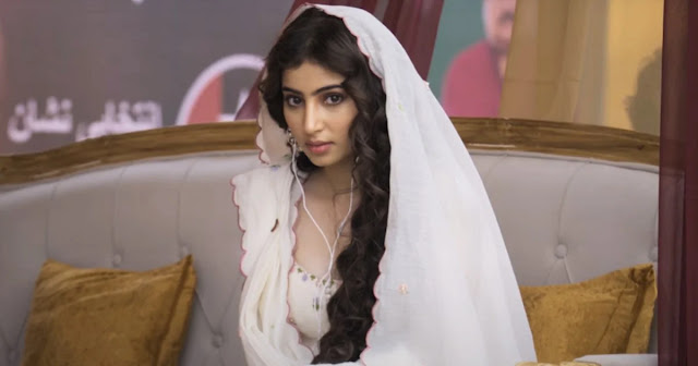 Dhurandhar Becomes Highest-Grossing Hindi Film Ever: Surpasses Pushpa 2 Hindi Collections in 2026